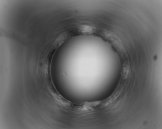 X0000097920379200803211533