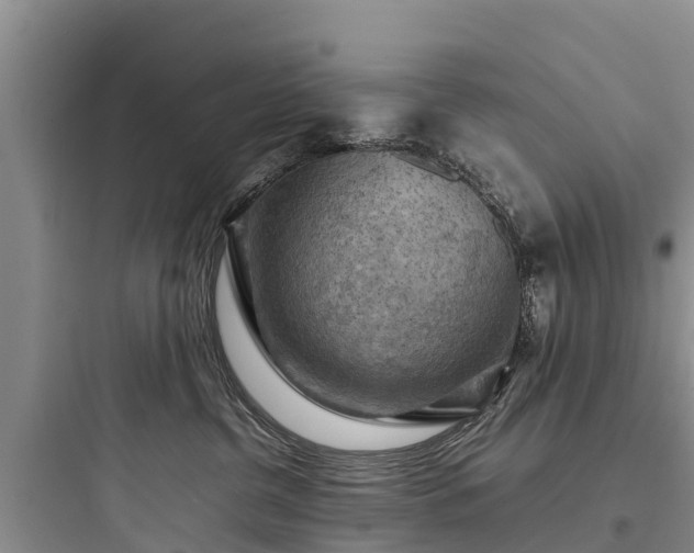 X0000097920380200803211533