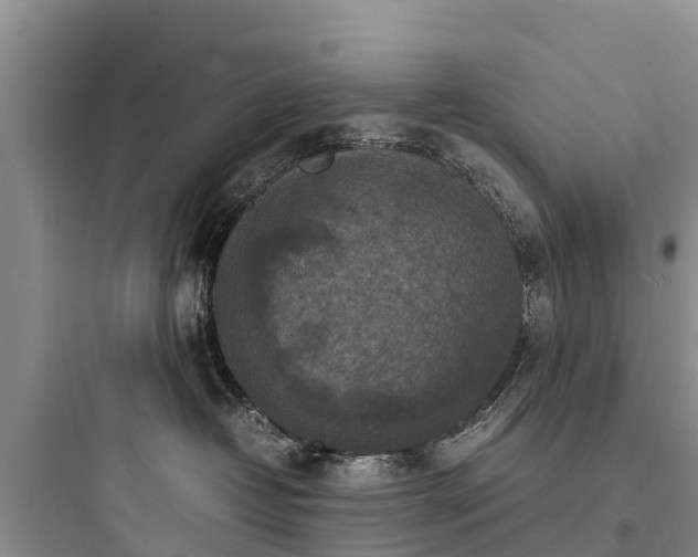 X0000097920382200803211533