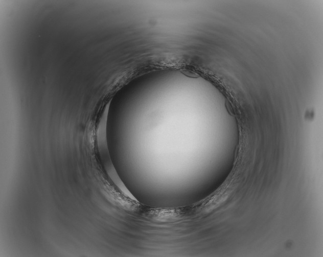X0000097920384200803211533