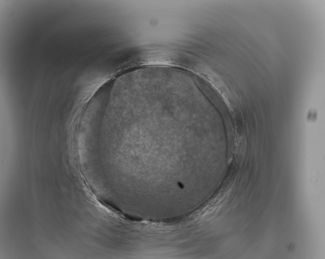 X0000097920385200803211532