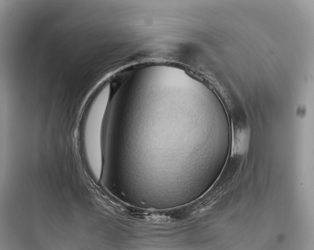 X0000097920387200803211532