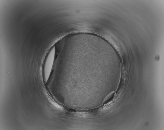 X0000097920389200803211532