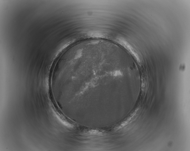 X0000097920390200803211532
