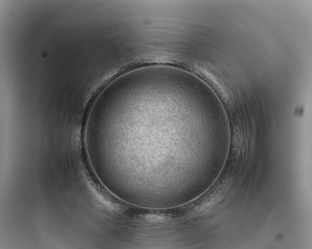 X0000097920394200803211532