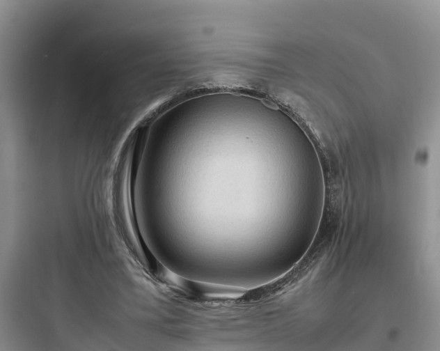 X0000097920395200803211532