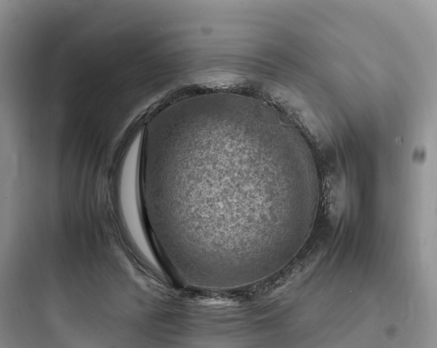 X0000097920400200803211532