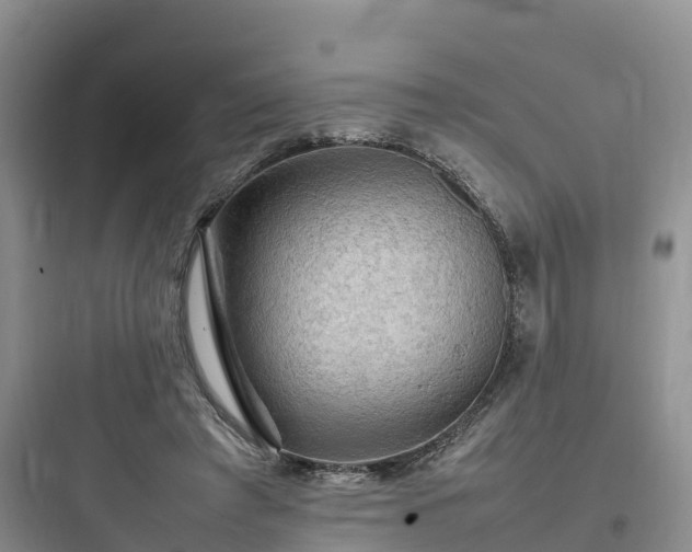X0000097920401200803211532