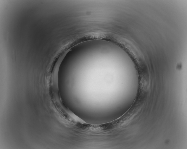 X0000097920403200803211532