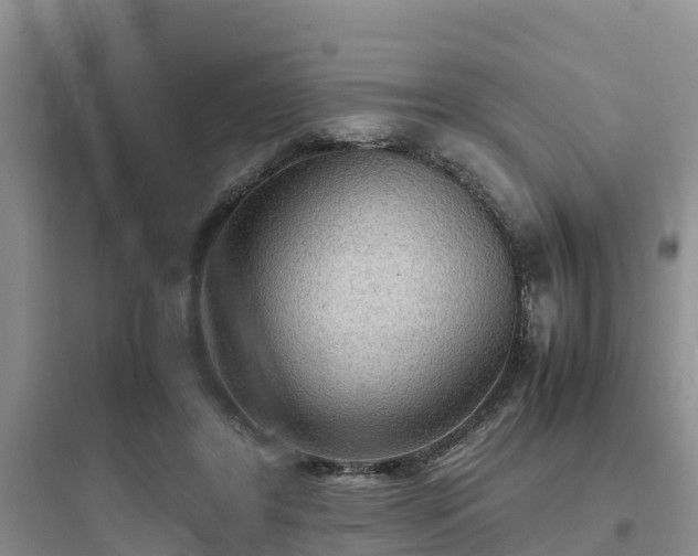 X0000097920404200803211532