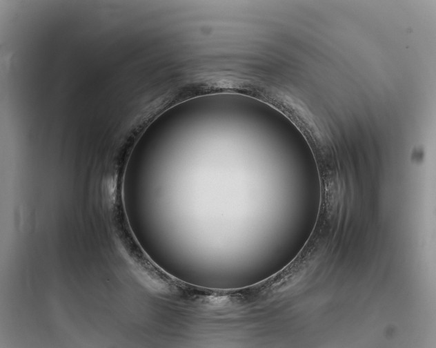 X0000097920406200803211532