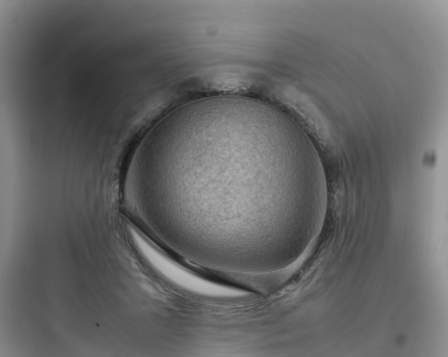 X0000097920407200803211532