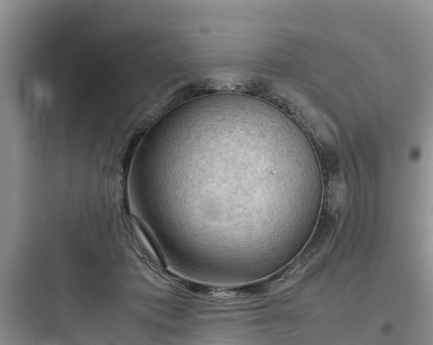 X0000097920413200803211532