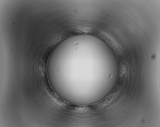 X0000097920414200803211532