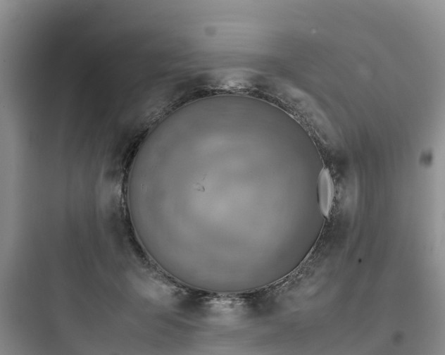 X0000097920415200803211532