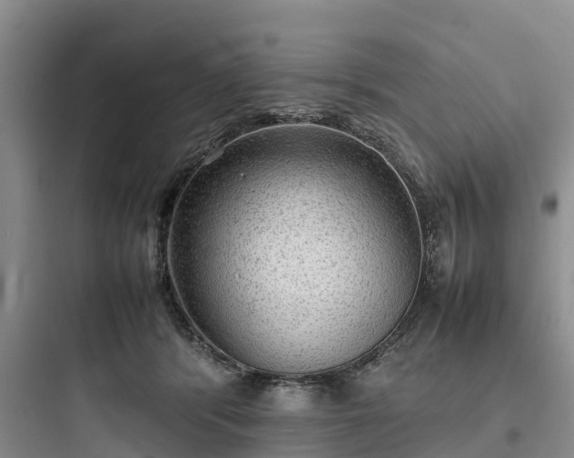X0000097920416200803211532