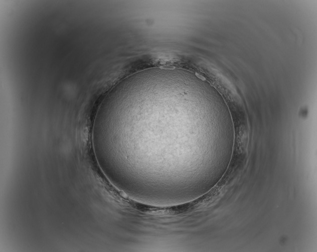 X0000097920417200803211532