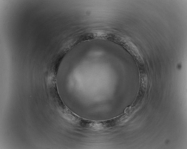 X0000097920419200803211532