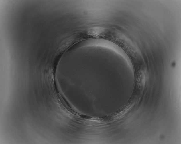 X0000097920420200803211532