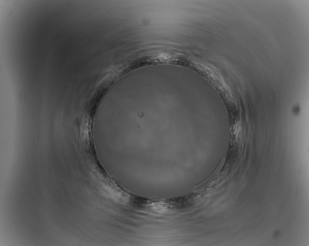 X0000097920423200803211532