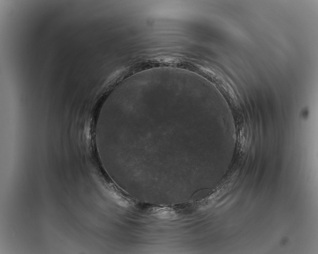 X0000097920424200803211532
