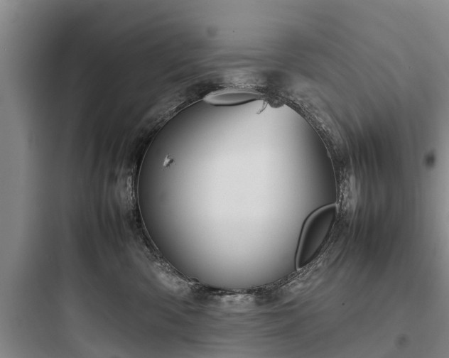 X0000097920426200803211532