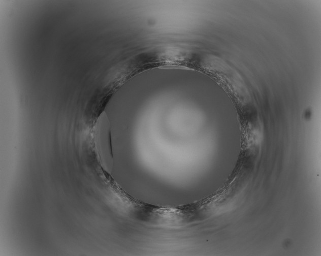 X0000097920427200803211532