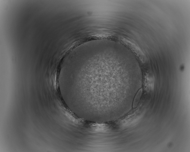 X0000097920428200803211532