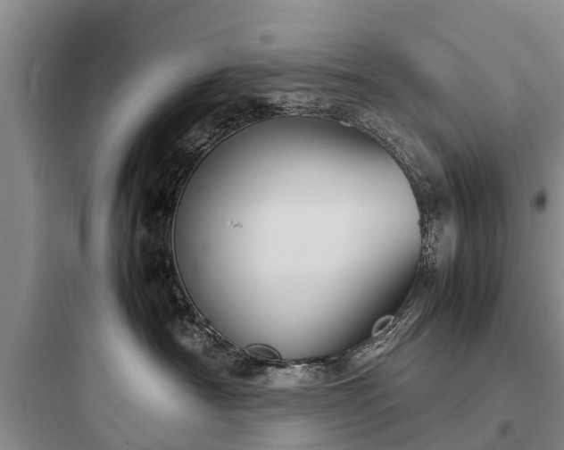 X0000097920430200803211532