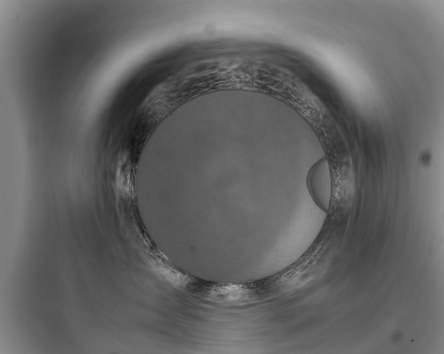 X0000097920431200803211532