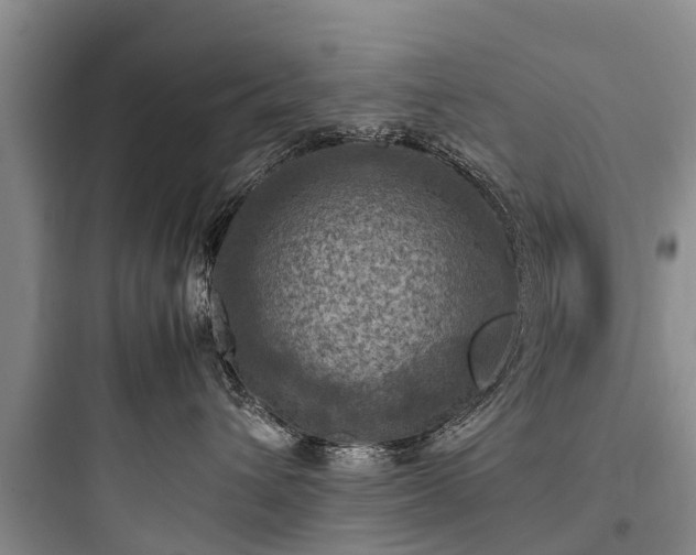 X0000097920432200803211532