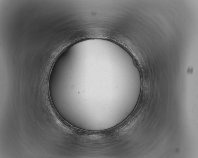 X0000097920433200803211531