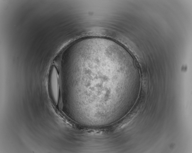 X0000097920434200803211531