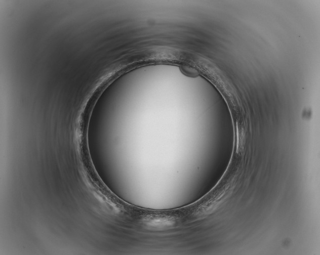 X0000097920435200803211531