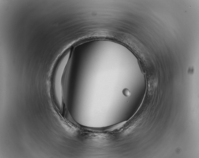 X0000097920436200803211531