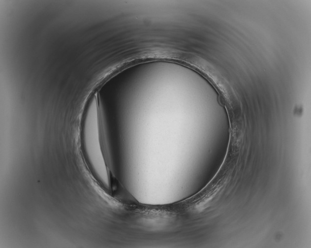 X0000097920437200803211531