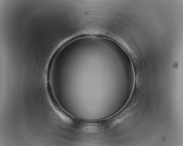 X0000097920438200803211531