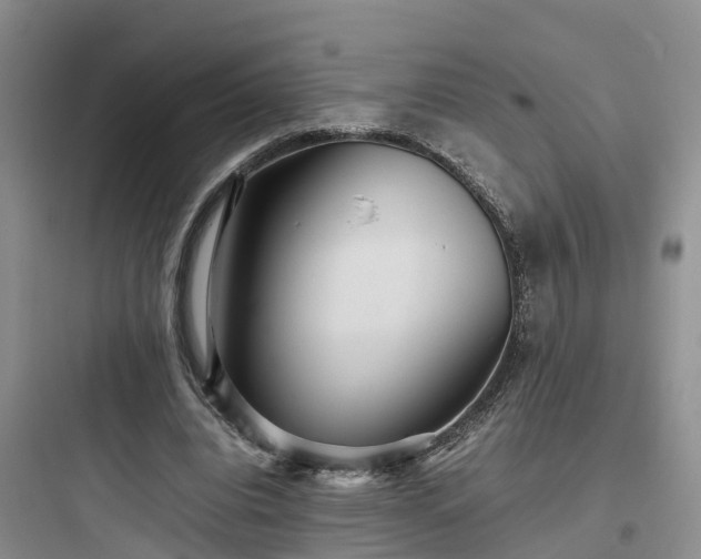 X0000097920440200803211531