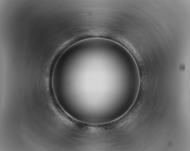 X0000097920442200803211531