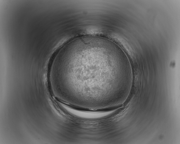 X0000097920443200803211531
