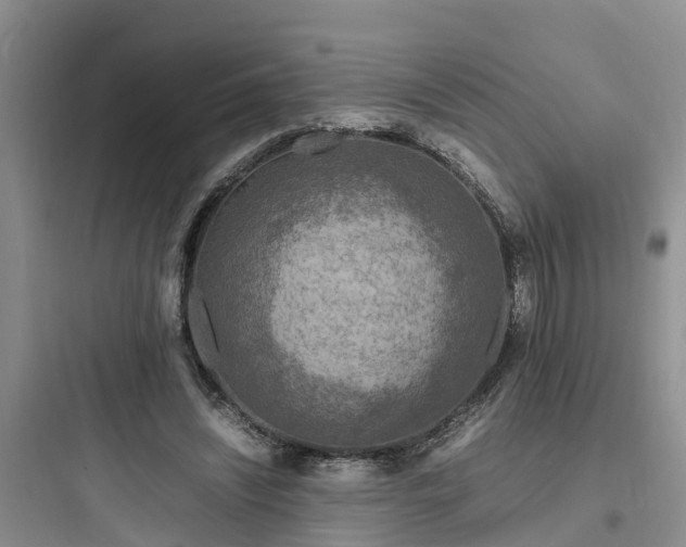 X0000097920444200803211531