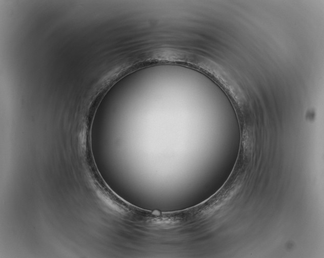 X0000097920445200803211531