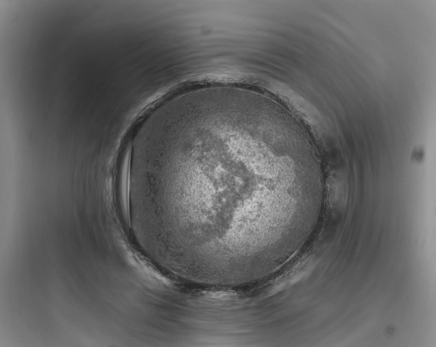 X0000097920446200803211531