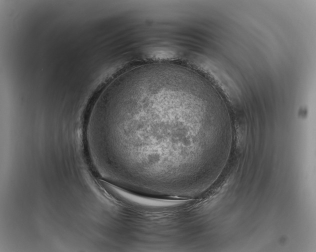 X0000097920447200803211531