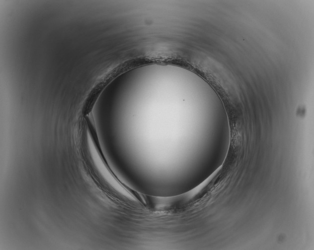 X0000097920448200803211531