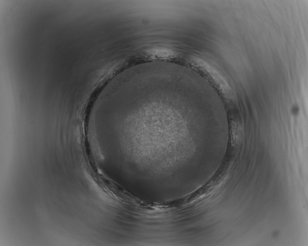 X0000097920451200803211531