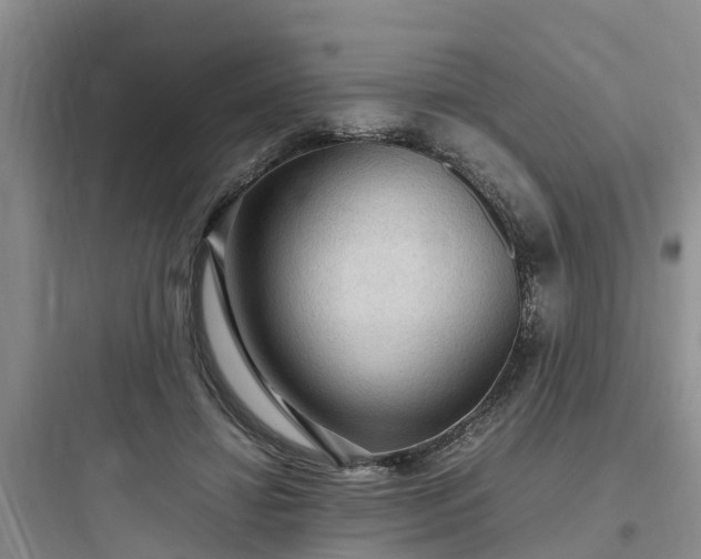 X0000097920452200803211531