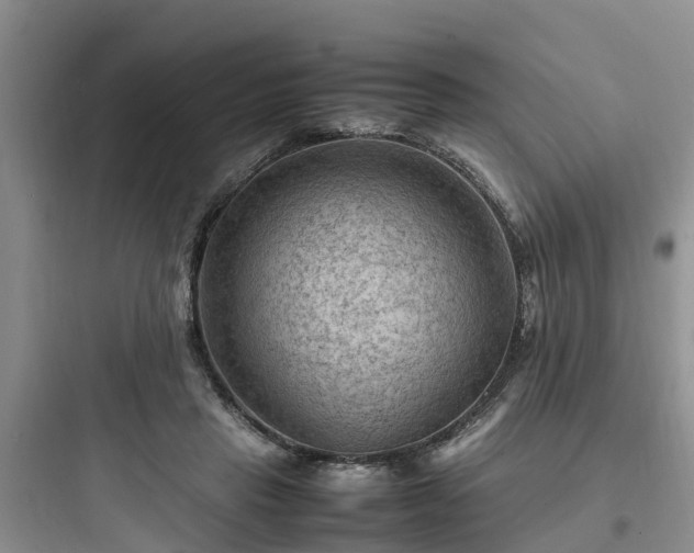 X0000097920453200803211531