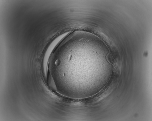 X0000097920454200803211531