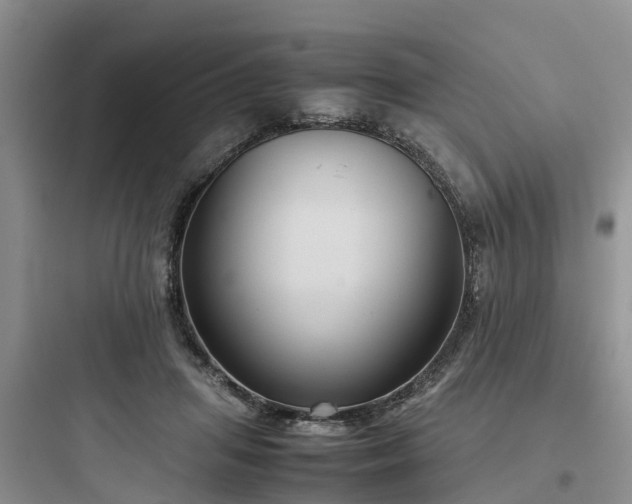 X0000097920455200803211531